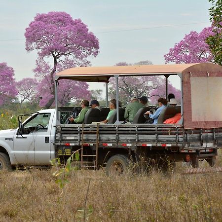 Southwild Pantanal Lodge Pixaim Εξωτερικό φωτογραφία