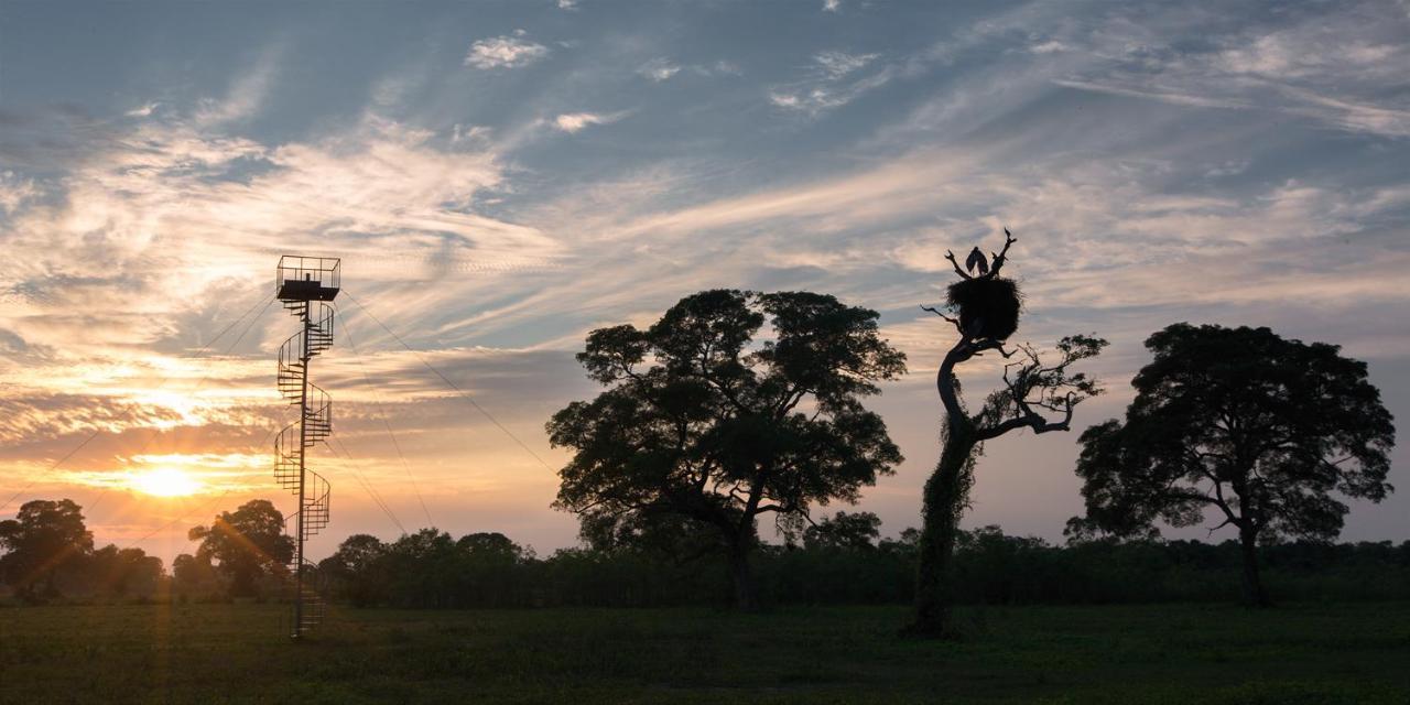 Southwild Pantanal Lodge Pixaim Εξωτερικό φωτογραφία