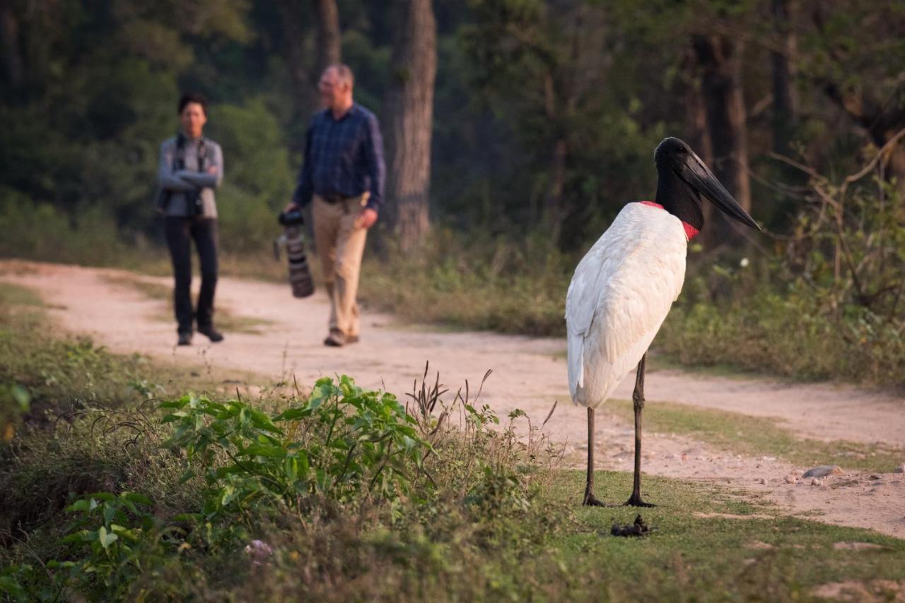 Southwild Pantanal Lodge Pixaim Εξωτερικό φωτογραφία