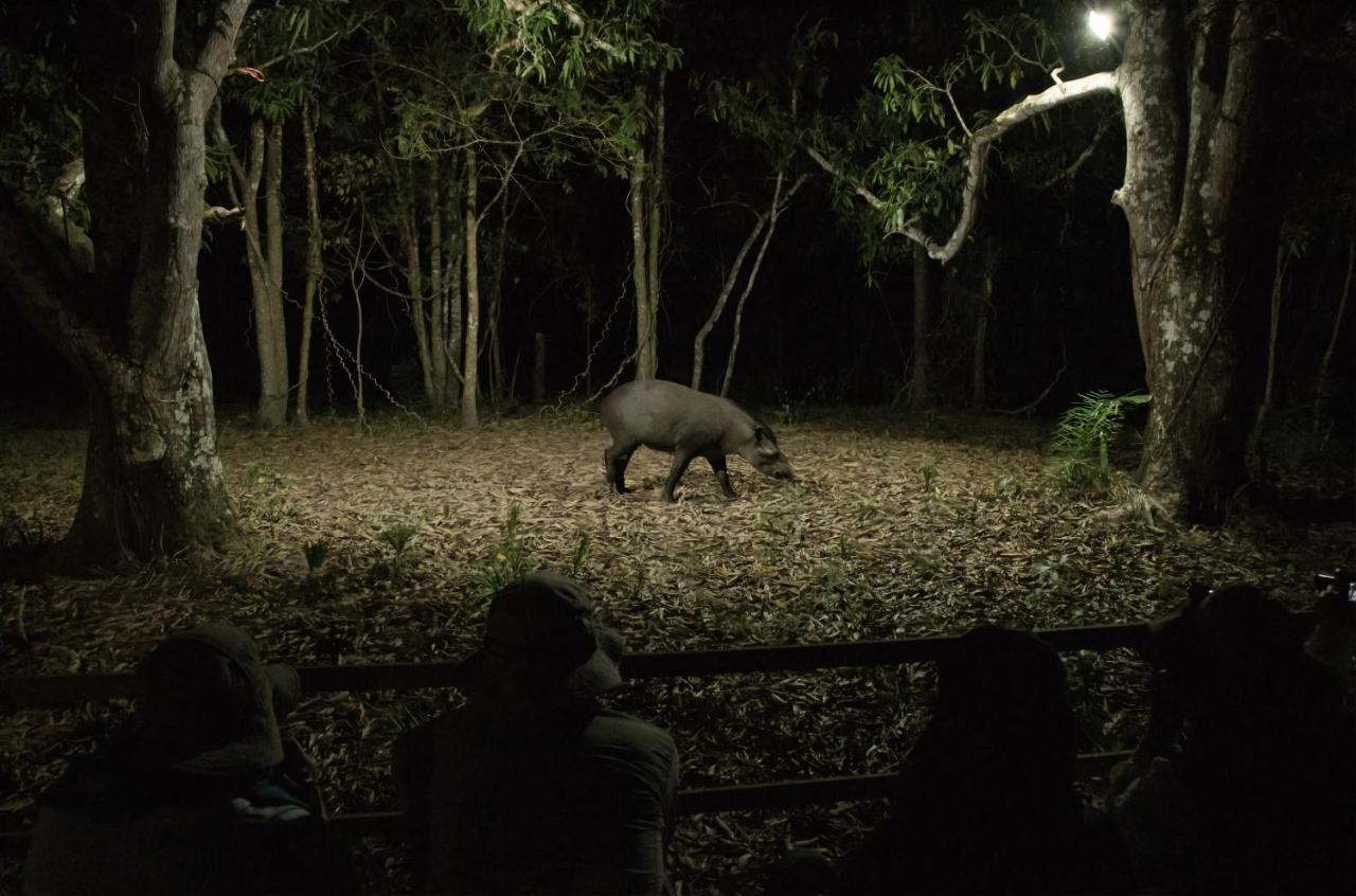 Southwild Pantanal Lodge Pixaim Εξωτερικό φωτογραφία