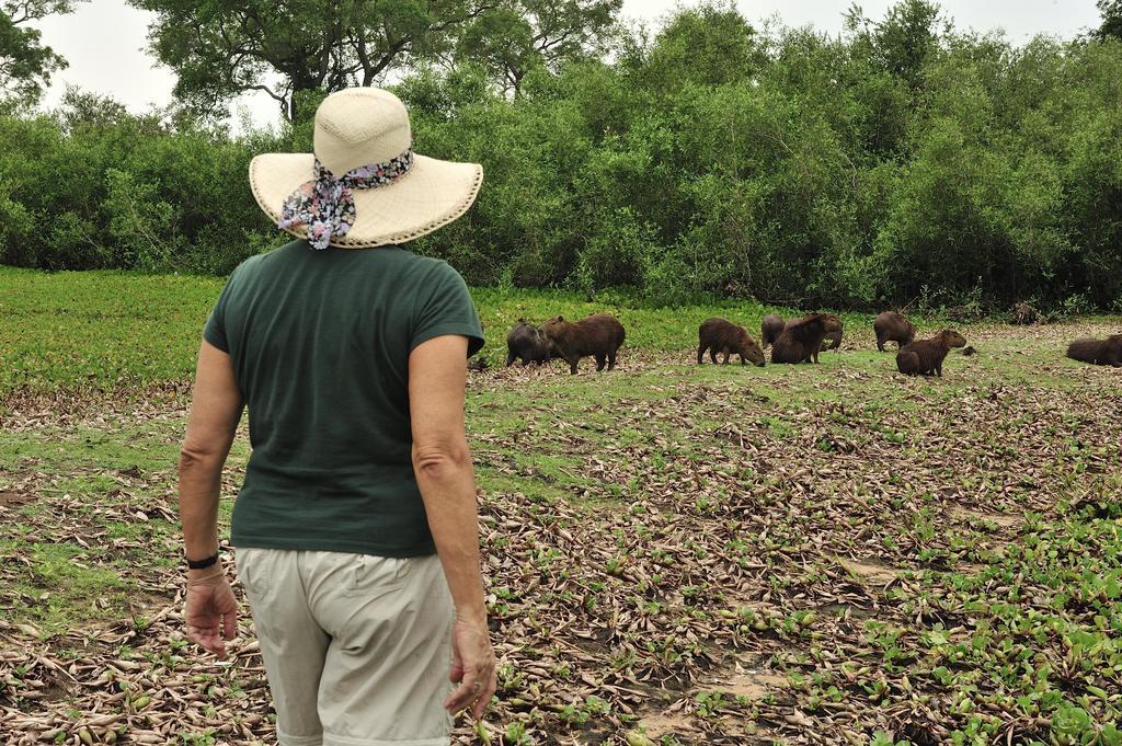 Southwild Pantanal Lodge Pixaim Εξωτερικό φωτογραφία
