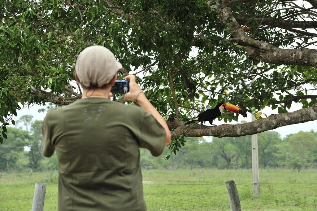 Southwild Pantanal Lodge Pixaim Εξωτερικό φωτογραφία