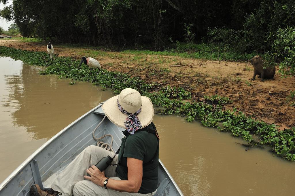 Southwild Pantanal Lodge Pixaim Εξωτερικό φωτογραφία