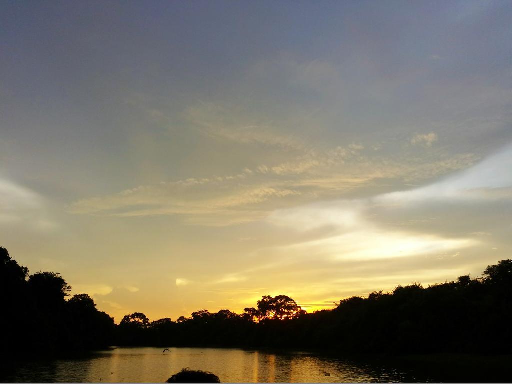 Southwild Pantanal Lodge Pixaim Εξωτερικό φωτογραφία