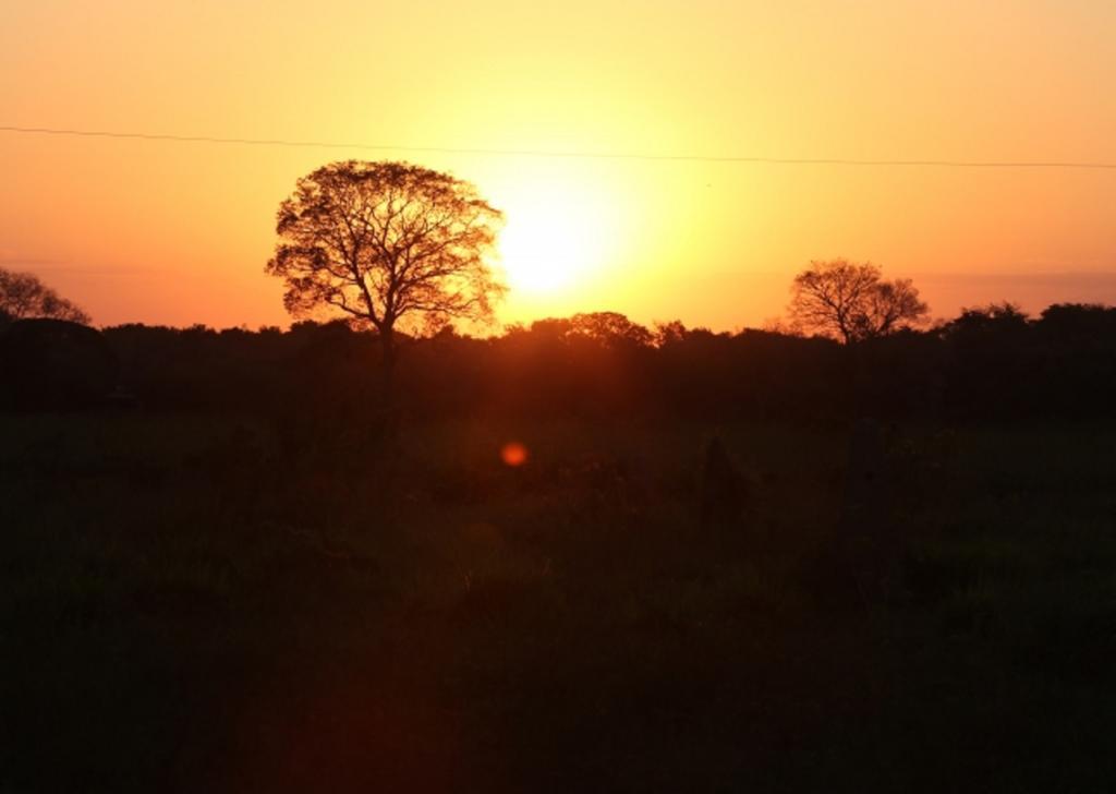 Southwild Pantanal Lodge Pixaim Εξωτερικό φωτογραφία