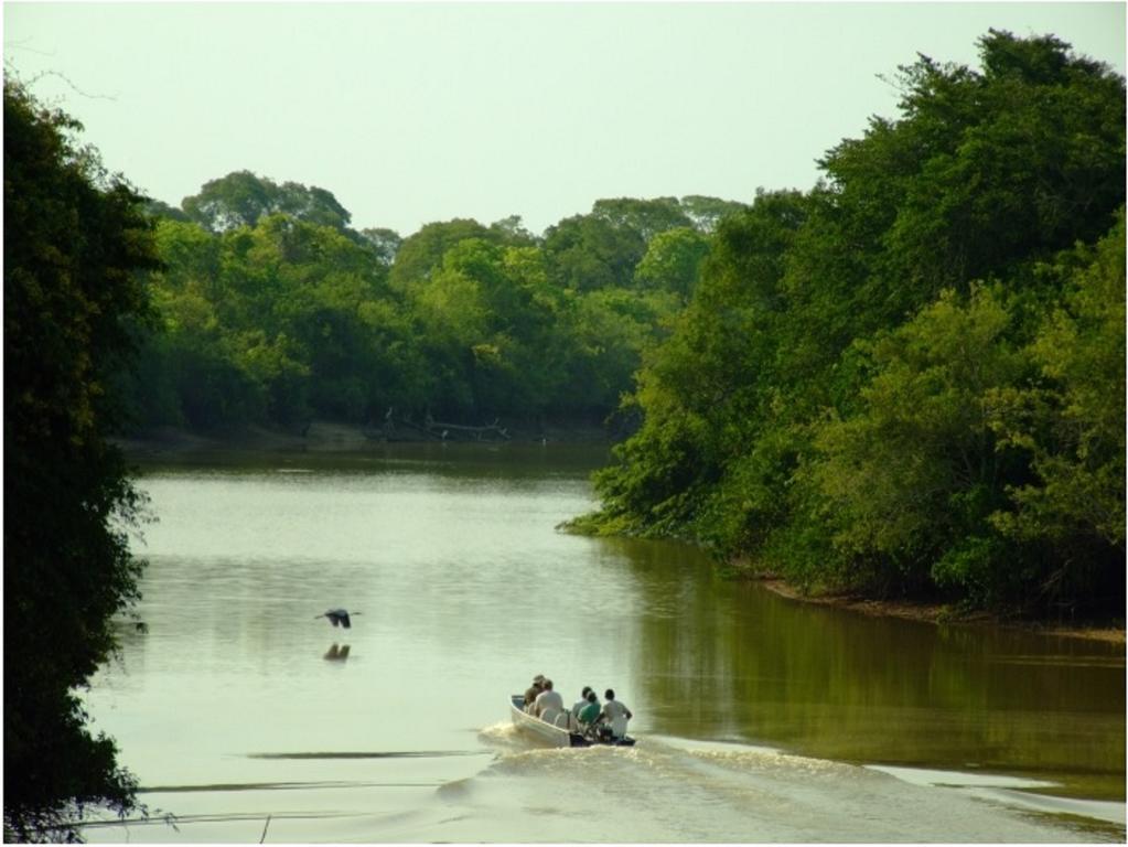 Southwild Pantanal Lodge Pixaim Εξωτερικό φωτογραφία